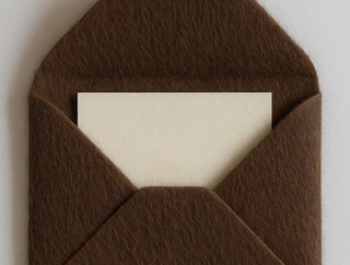 A close-up of a brown felt envelope with a blank cream-colored card partially inserted, set against a plain light gray background.