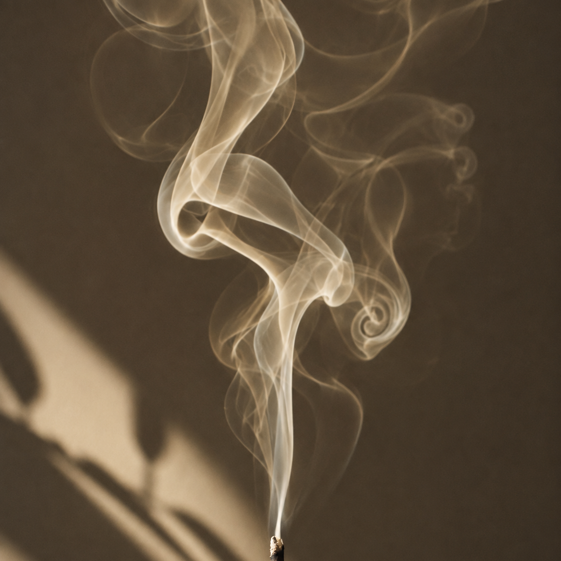 A close-up artistic shot of smoke curling upward against a dark brown background with soft shadows.